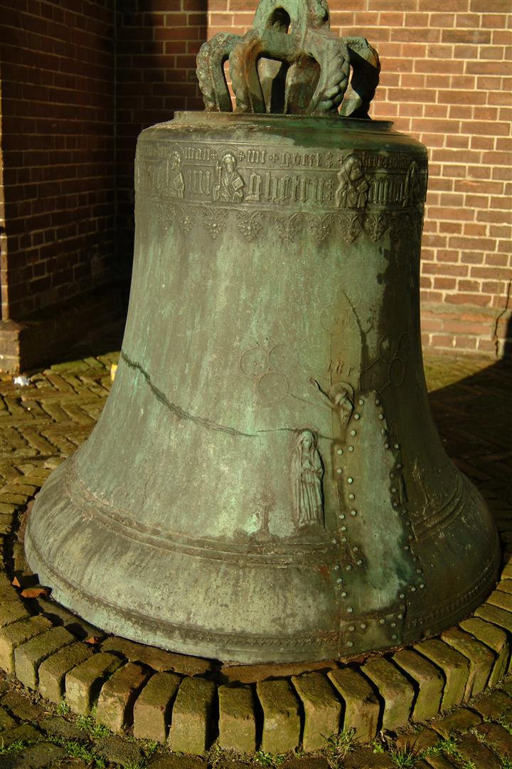 Oud-beets-Herman-1482-Large